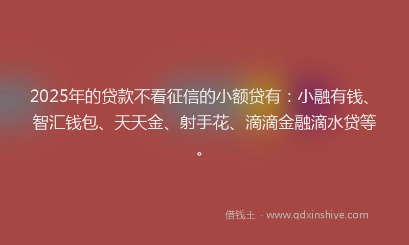 2025年的贷款不看征信的小额贷有：小融有钱、智汇钱包、天天金、射手花、滴滴金融滴水贷等。