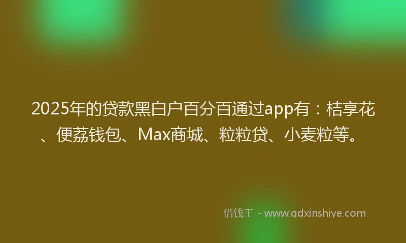 2025年的贷款黑白户百分百通过app有：桔享花、便荔钱包、Max商城、粒粒贷、小麦粒等。