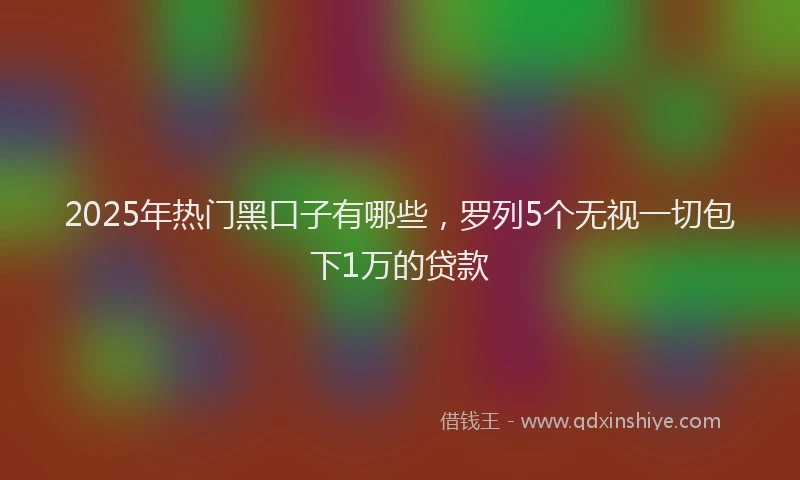 2025年热门黑口子有哪些，罗列5个无视一切包下1万的贷款