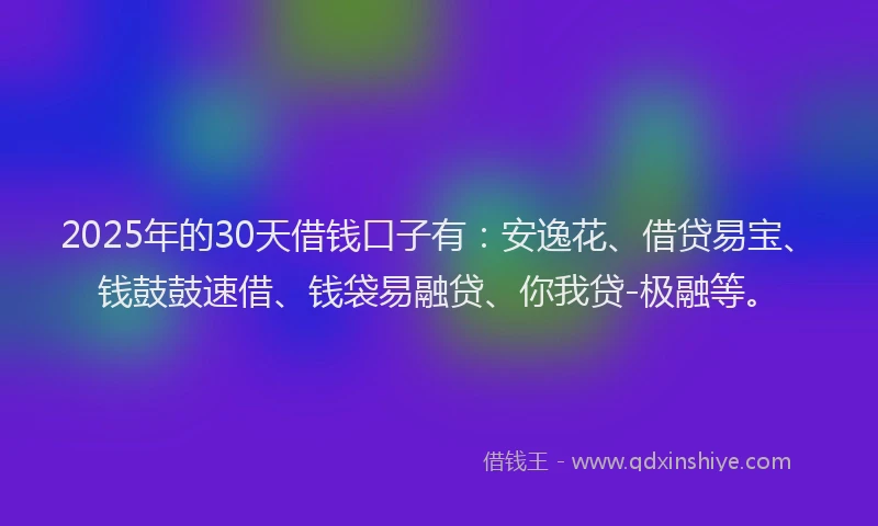 2025年的30天借钱口子有：安逸花、借贷易宝、钱鼓鼓速借、钱袋易融贷、你我贷-极融等。