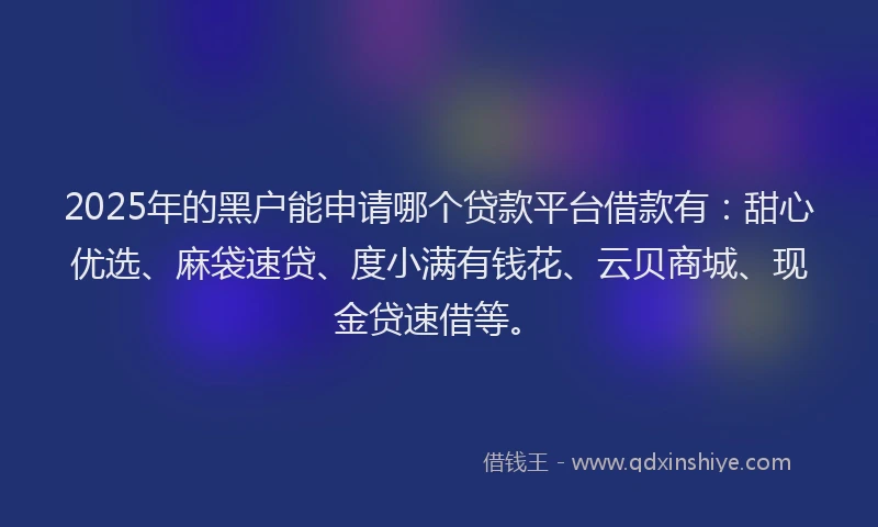 2025年的黑户能申请哪个贷款平台借款有：甜心优选、麻袋速贷、度小满有钱花、云贝商城、现金贷速借等。