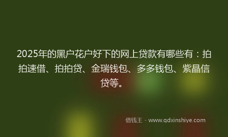 2025年的黑户花户好下的网上贷款有哪些有：拍拍速借、拍拍贷、金瑞钱包、多多钱包、紫晶信贷等。