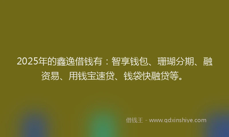 2025年的鑫逸借钱有：智享钱包、珊瑚分期、融资易、用钱宝速贷、钱袋快融贷等。