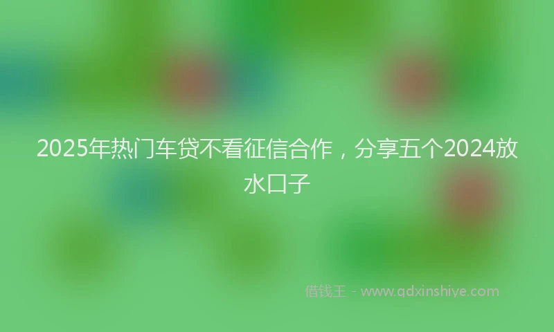 2025年热门车贷不看征信合作，分享五个2024放水口子