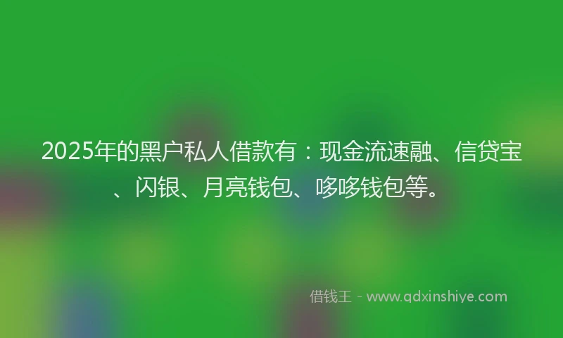 2025年的黑户私人借款有：现金流速融、信贷宝、闪银、月亮钱包、哆哆钱包等。