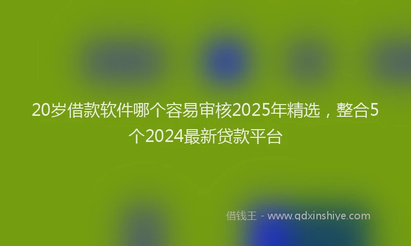 20岁借款软件哪个容易审核2025年精选，整合5个2024最新贷款平台