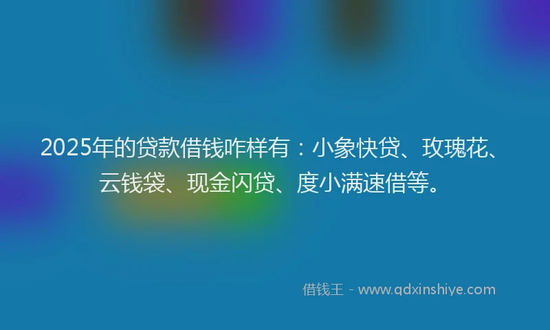 2025年的贷款借钱咋样有：小象快贷、玫瑰花、云钱袋、现金闪贷、度小满速借等。