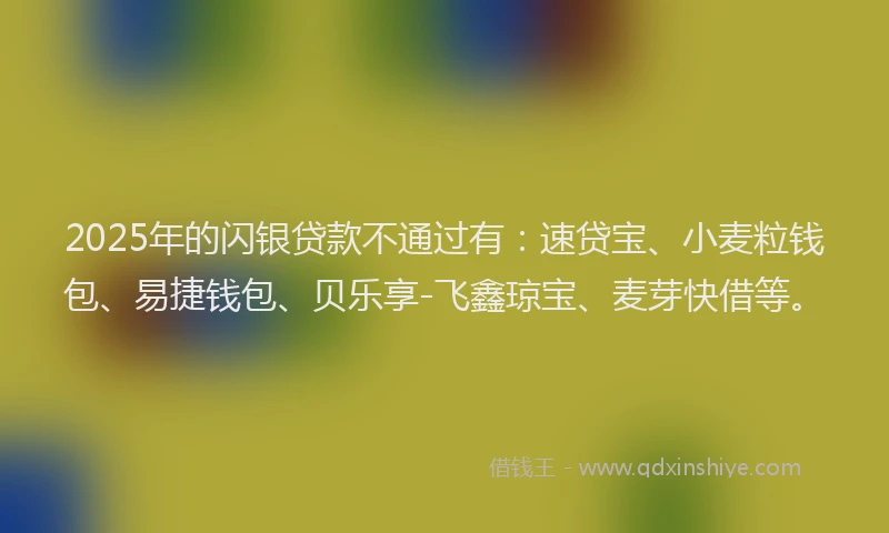 2025年的闪银贷款不通过有：速贷宝、小麦粒钱包、易捷钱包、贝乐享-飞鑫琼宝、麦芽快借等。