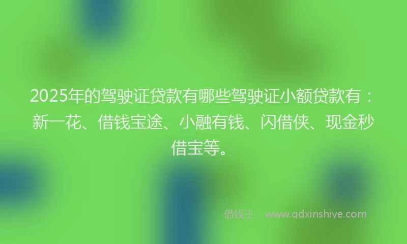 2025年的驾驶证贷款有哪些驾驶证小额贷款有：新一花、借钱宝途、小融有钱、闪借侠、现金秒借宝等。