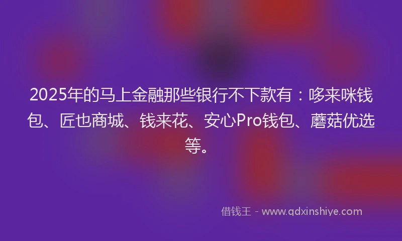2025年的马上金融那些银行不下款有：哆来咪钱包、匠也商城、钱来花、安心Pro钱包、蘑菇优选等。