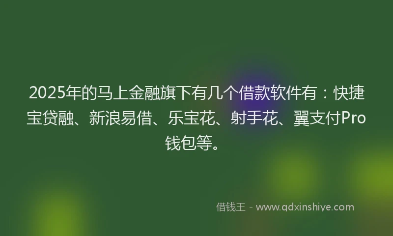 2025年的马上金融旗下有几个借款软件有：快捷宝贷融、新浪易借、乐宝花、射手花、翼支付Pro钱包等。
