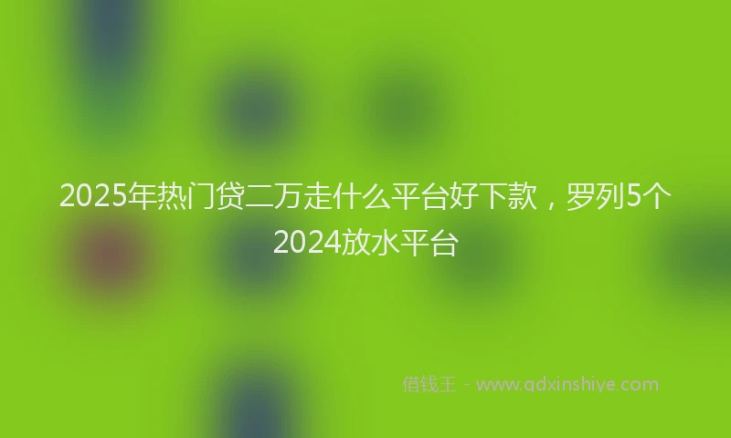 2025年热门贷二万走什么平台好下款，罗列5个2024放水平台