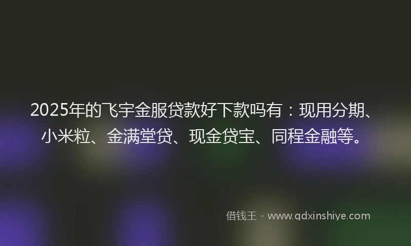 2025年的飞宇金服贷款好下款吗有：现用分期、小米粒、金满堂贷、现金贷宝、同程金融等。