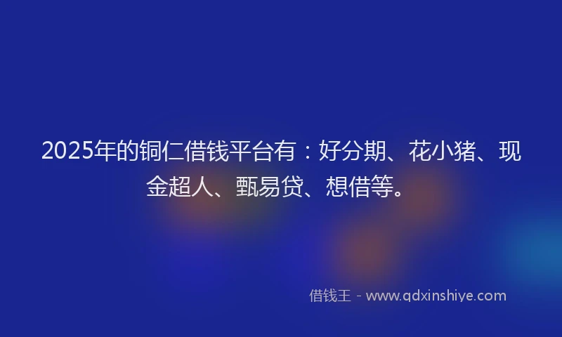 2025年的铜仁借钱平台有：好分期、花小猪、现金超人、甄易贷、想借等。