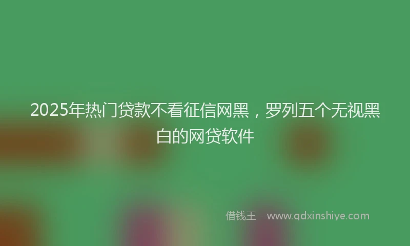 2025年热门贷款不看征信网黑，罗列五个无视黑白的网贷软件