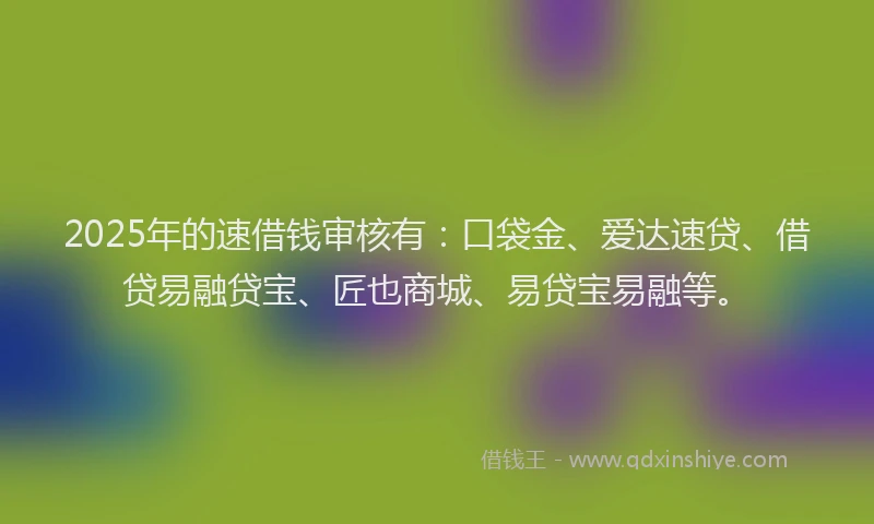 2025年的速借钱审核有：口袋金、爱达速贷、借贷易融贷宝、匠也商城、易贷宝易融等。
