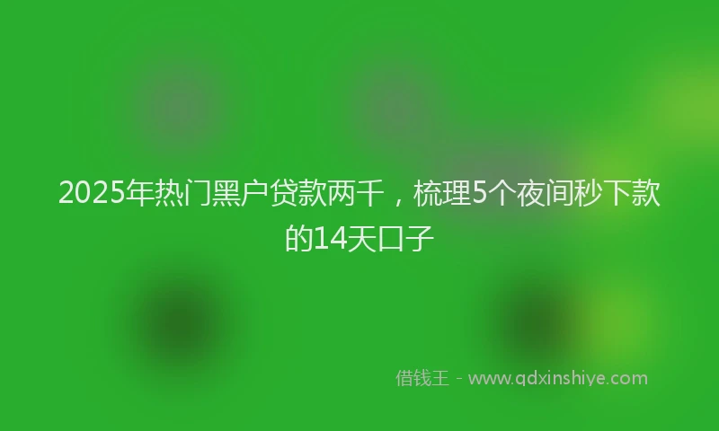 2025年热门黑户贷款两千，梳理5个夜间秒下款的14天口子