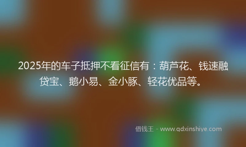 2025年的车子抵押不看征信有：葫芦花、钱速融贷宝、鹅小易、金小豚、轻花优品等。