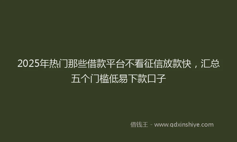 2025年热门那些借款平台不看征信放款快，汇总五个门槛低易下款口子