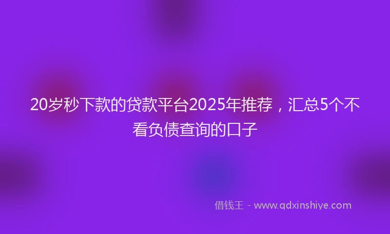 20岁秒下款的贷款平台2025年推荐，汇总5个不看负债查询的口子