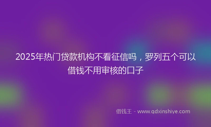 2025年热门贷款机构不看征信吗，罗列五个可以借钱不用审核的口子