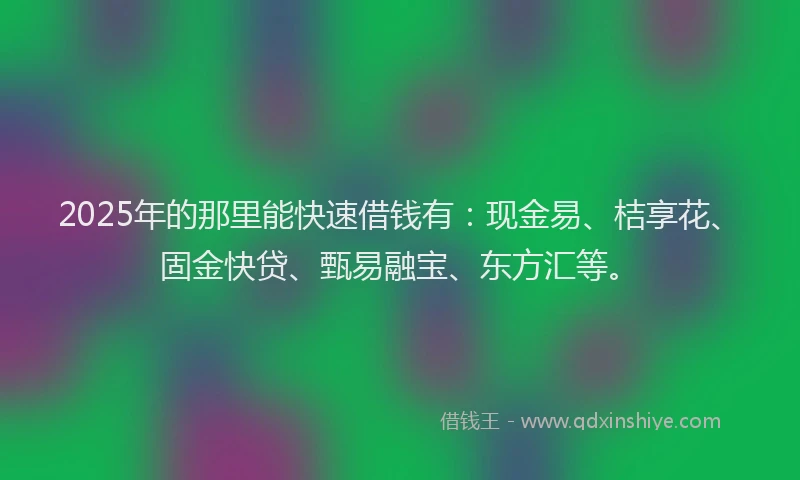 2025年的那里能快速借钱有：现金易、桔享花、固金快贷、甄易融宝、东方汇等。
