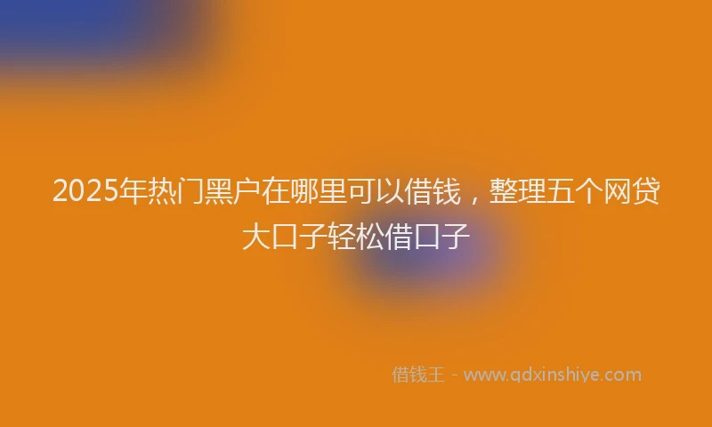 2025年热门黑户在哪里可以借钱，整理五个网贷大口子轻松借口子