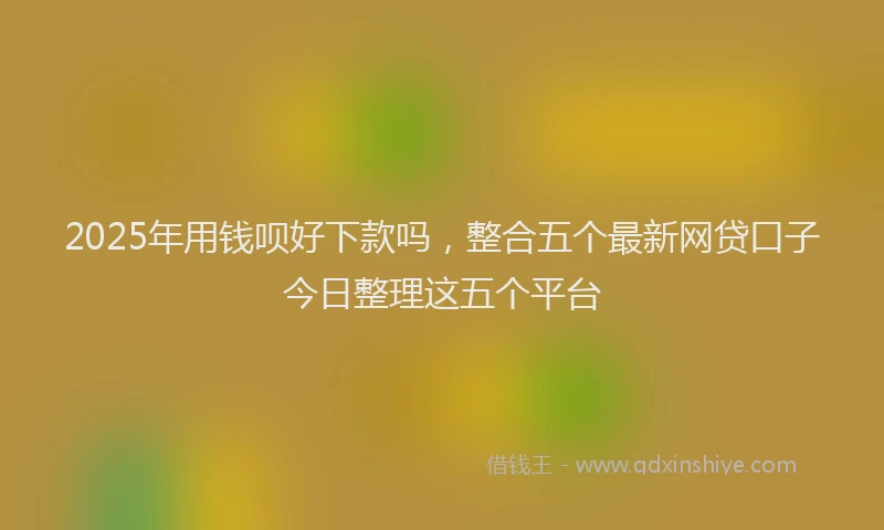 2025年用钱呗好下款吗，整合五个最新网贷口子今日整理这五个平台