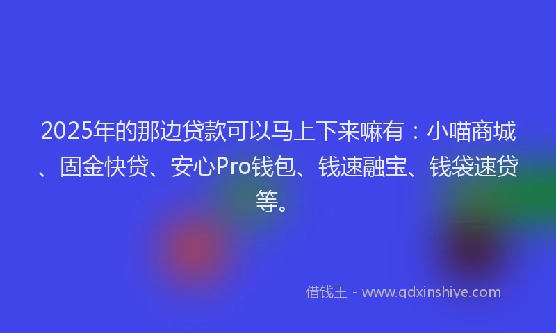 2025年的那边贷款可以马上下来嘛有：小喵商城、固金快贷、安心Pro钱包、钱速融宝、钱袋速贷等。