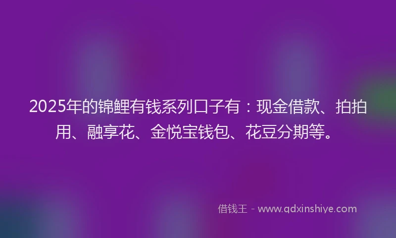 2025年的锦鲤有钱系列口子有：现金借款、拍拍用、融享花、金悦宝钱包、花豆分期等。