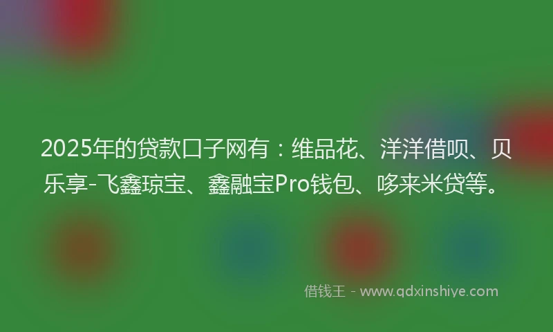2025年的贷款口子网有：维品花、洋洋借呗、贝乐享-飞鑫琼宝、鑫融宝Pro钱包、哆来米贷等。