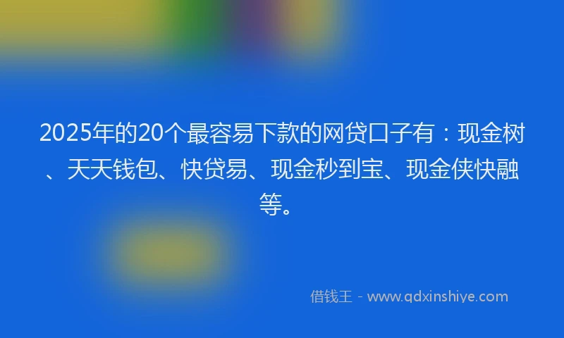 2025年的20个最容易下款的网贷口子有：现金树、天天钱包、快贷易、现金秒到宝、现金侠快融等。