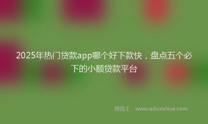 2025年热门贷款app哪个好下款快，盘点五个必下的小额贷款平台