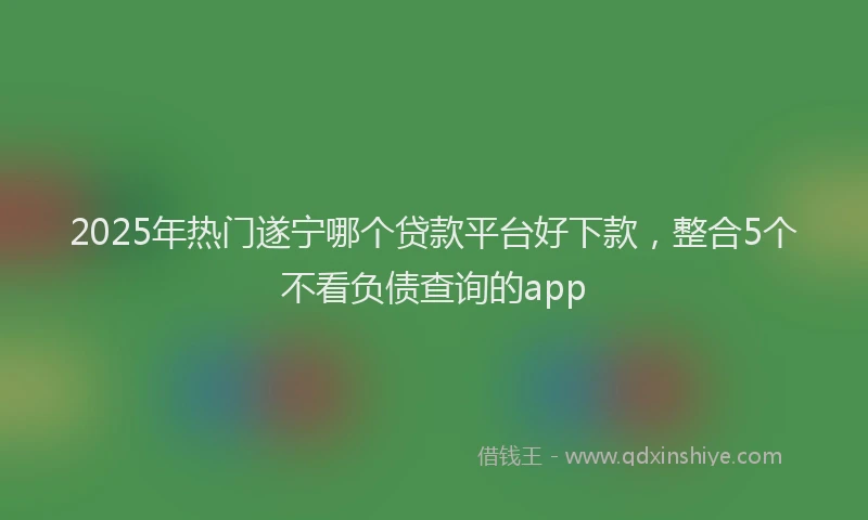 2025年热门遂宁哪个贷款平台好下款，整合5个不看负债查询的app