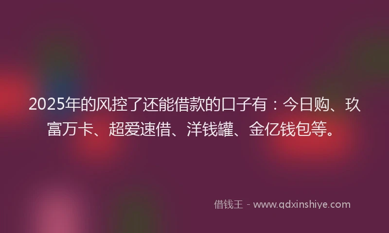 2025年的风控了还能借款的口子有：今日购、玖富万卡、超爱速借、洋钱罐、金亿钱包等。