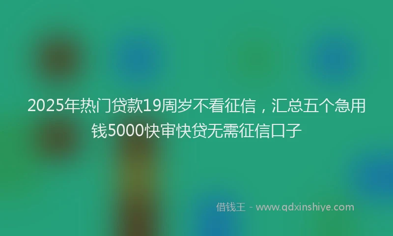 2025年热门贷款19周岁不看征信，汇总五个急用钱5000快审快贷无需征信口子
