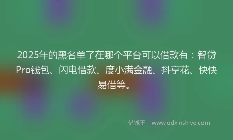 2025年的黑名单了在哪个平台可以借款有：智贷Pro钱包、闪电借款、度小满金融、抖享花、快快易借等。