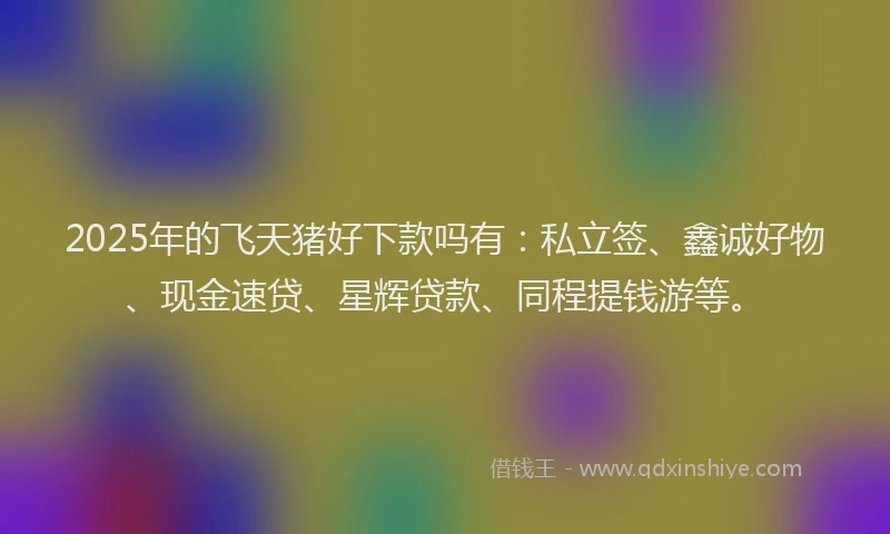 2025年的飞天猪好下款吗有：私立签、鑫诚好物、现金速贷、星辉贷款、同程提钱游等。