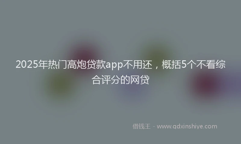 2025年热门高炮贷款app不用还，概括5个不看综合评分的网贷