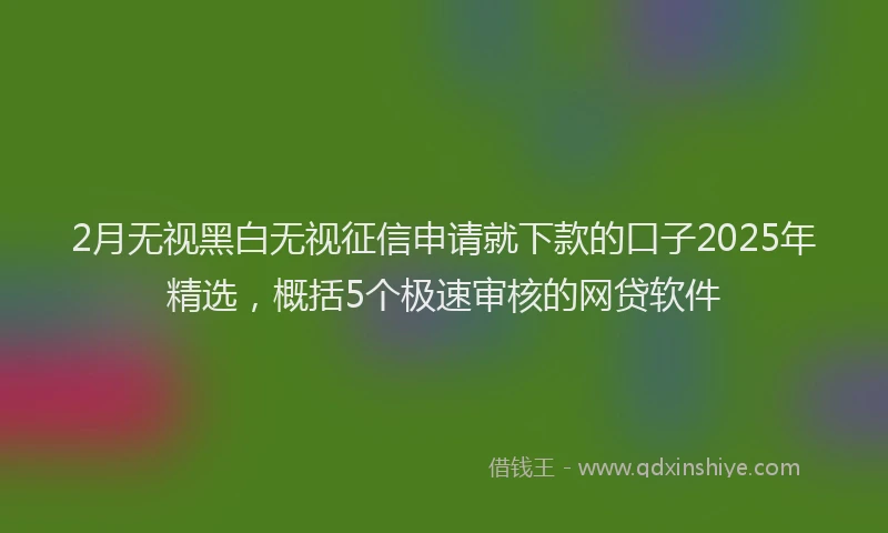 2月无视黑白无视征信申请就下款的口子2025年精选，概括5个极速审核的网贷软件
