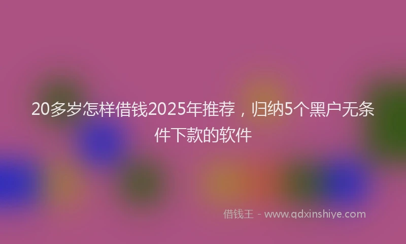 20多岁怎样借钱2025年推荐，归纳5个黑户无条件下款的软件
