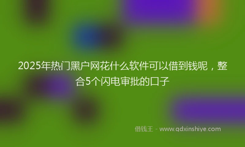 2025年热门黑户网花什么软件可以借到钱呢，整合5个闪电审批的口子