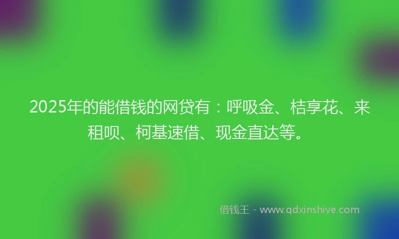 2025年的能借钱的网贷有：呼吸金、桔享花、来租呗、柯基速借、现金直达等。