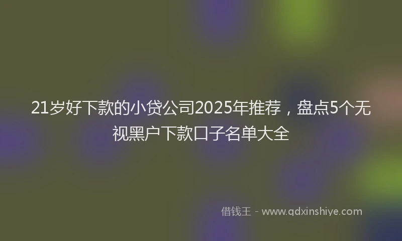 21岁好下款的小贷公司2025年推荐，盘点5个无视黑户下款口子名单大全