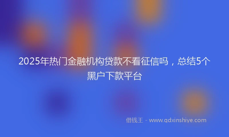 2025年热门金融机构贷款不看征信吗，总结5个黑户下款平台