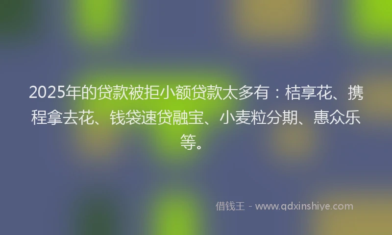 2025年的贷款被拒小额贷款太多有：桔享花、携程拿去花、钱袋速贷融宝、小麦粒分期、惠众乐等。
