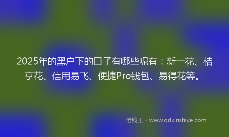 2025年的黑户下的口子有哪些呢有：新一花、桔享花、信用易飞、便捷Pro钱包、易得花等。