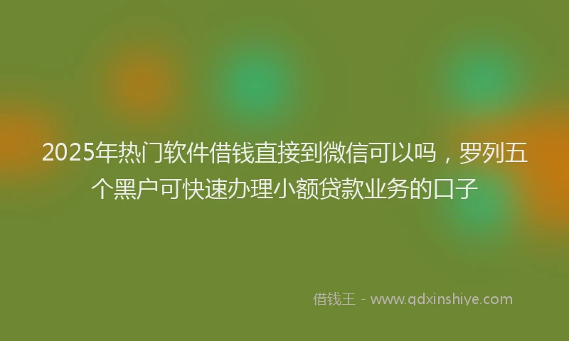 2025年热门软件借钱直接到微信可以吗，罗列五个黑户可快速办理小额贷款业务的口子