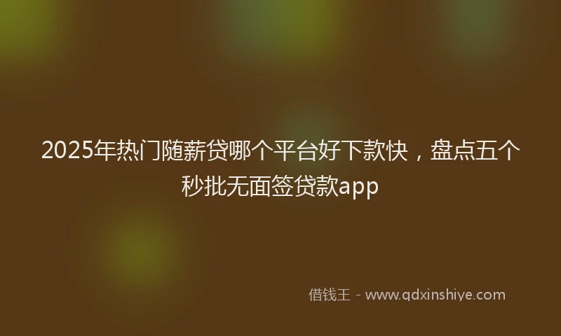 2025年热门随薪贷哪个平台好下款快，盘点五个秒批无面签贷款app
