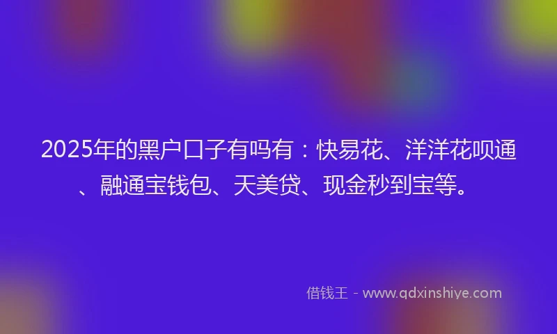 2025年的黑户口子有吗有：快易花、洋洋花呗通、融通宝钱包、天美贷、现金秒到宝等。